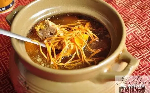 cordyceps sinensis bone marrow